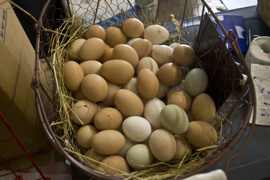 Panier rempli d’œufs de poules de différentes couleurs