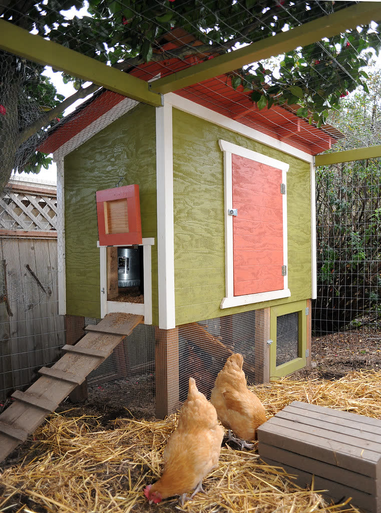 Petit poulailler de jardin avec deux poules