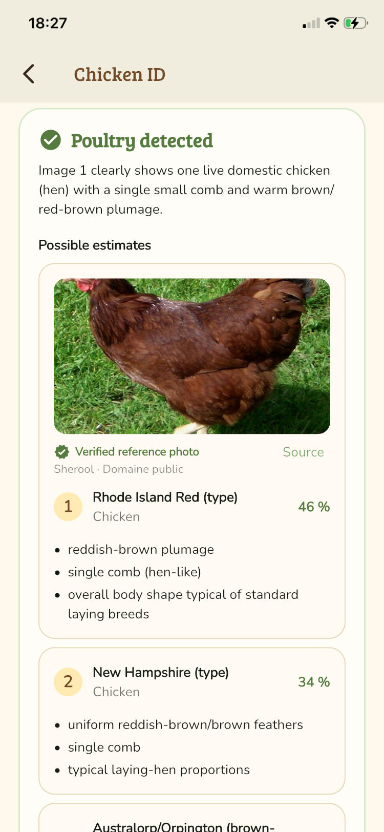 Chicken identification suggestions in Mon Petit Poulailler